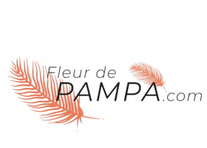 Découvrez la fleur de pampa pour votre décoration