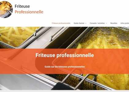 friteuse professionnelle