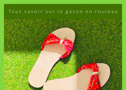 Guide Gazon en rouleau