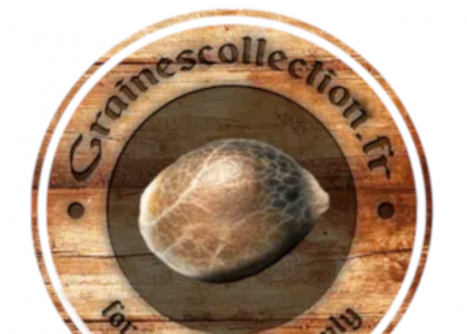 Graines de collection