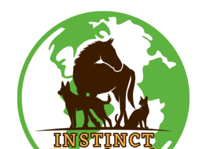 logo boutique en ligne pour chiens chats chevaux Instinct Vagabond