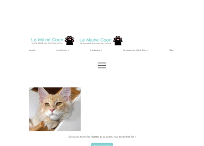 Le Maine Coon