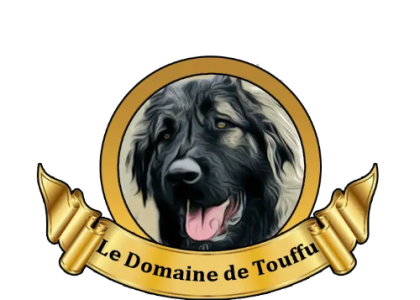 Pension canine loire atlantique