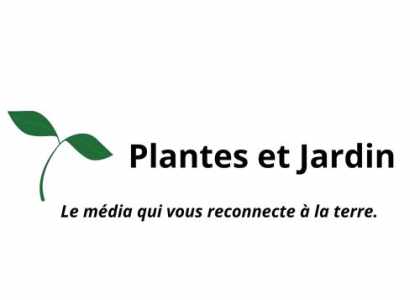 Plantes et Jardin