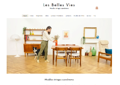 Les Belles Vies - meubles vintages scandinaves