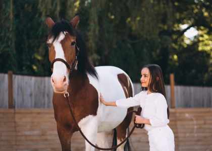 Stage d'équitation Les Ecuries de Condé