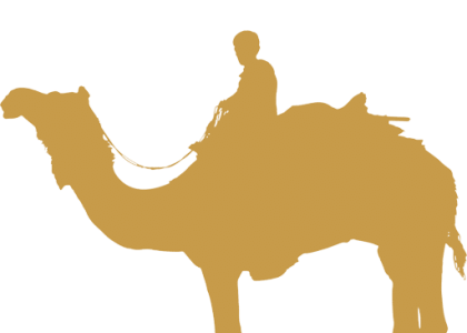 les-joyaux-d-arabie