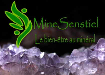 logo MineSenstiel