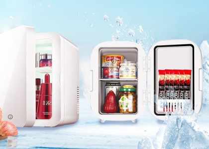 Mini frigo site français