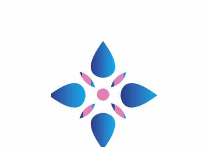 Appareil de massage et bien être