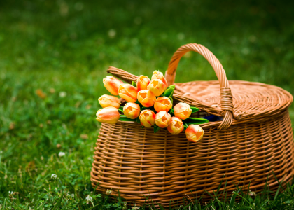 Mon Panier Osier