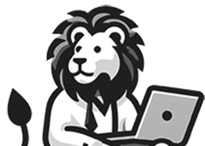 Nicolas Lion Informatique