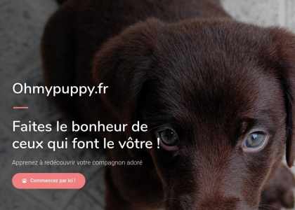Ohmypuppy Site education canine en ligne