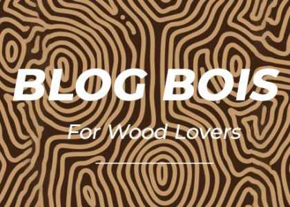 Blog Bois