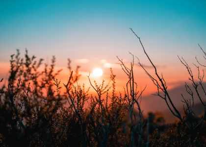 photo d'un coucher de soleil