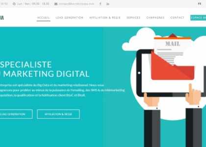 régie marketing digital