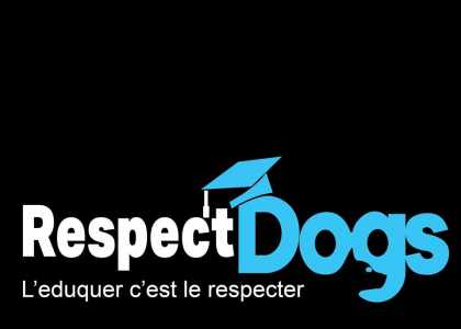 education canine respectdogs