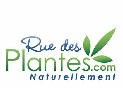 Complément alimentaire Ruedesplantes.com