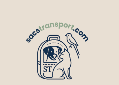 Sac transport pour chat et petit chien 