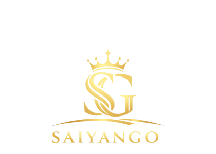 Saiyan Go chauffeur Privée à Lille et dans les Hauts-de-France