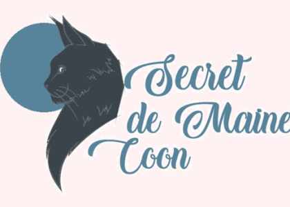 Secret de Maine Coon