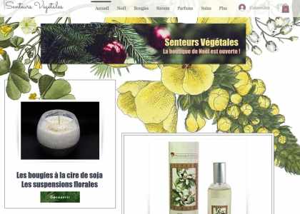 Bougie végétale verveine citron
