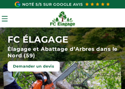vignette ADM - Elagueur | Paysagiste secteur de Marseille