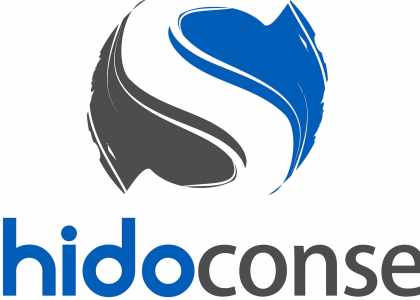 Expert en stratégie commerciale et outils digitaux - Shido Conseil