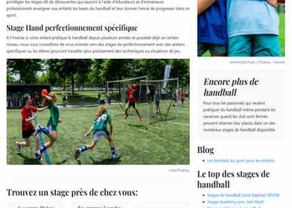 capture d'écran de la page d'accueil du site stagehandball