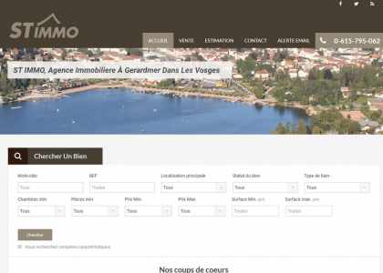 agence immobiliere vosges