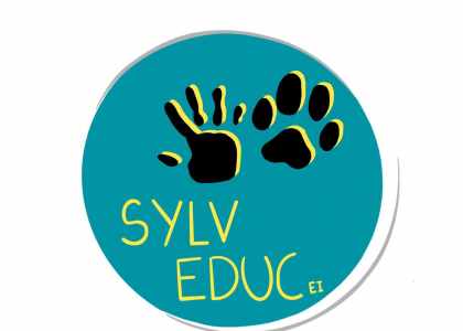 SYLV EDUC  Sylvain Vidal