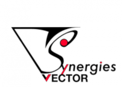 Synergies Vector