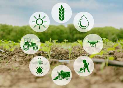 Terres et territoires pour l'actualité agricole