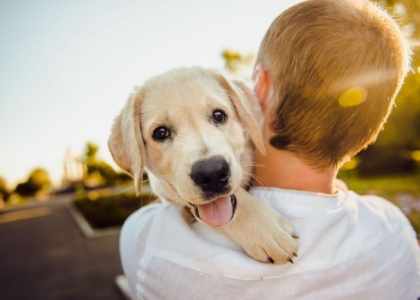 Tourisme avec mon chien