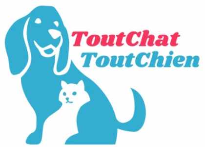 Annonces Chiens et chats