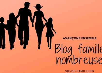 vie de famille nombreuse