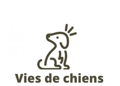 Vies de Chiens - Educateur comportementaliste canin 