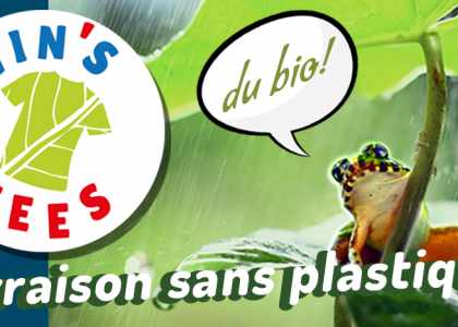 logo site vinstees.com avec une grenouille et bulle BD