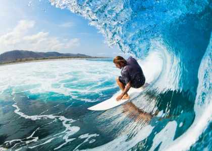 Walrus Surfshop