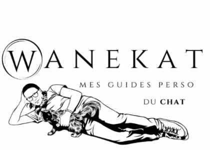 blog-chat