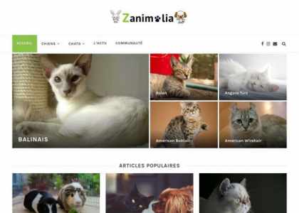 Zanimalia